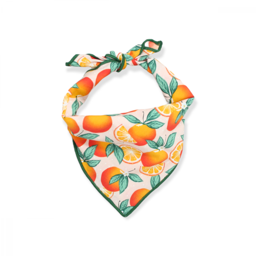 Dog Bandana, Dog Mom Gift, Pet Accessories, Summer, Oranges