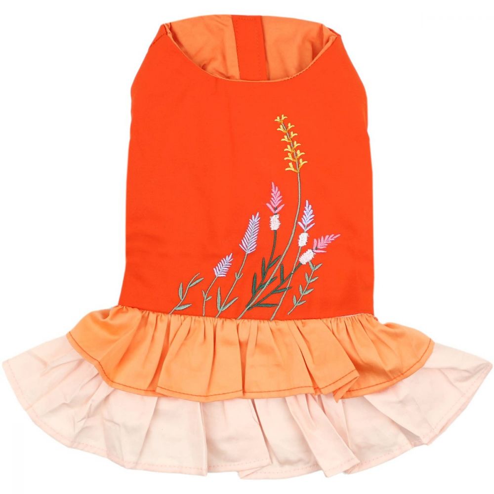 Color Block Garden Dress - Parisian Pet