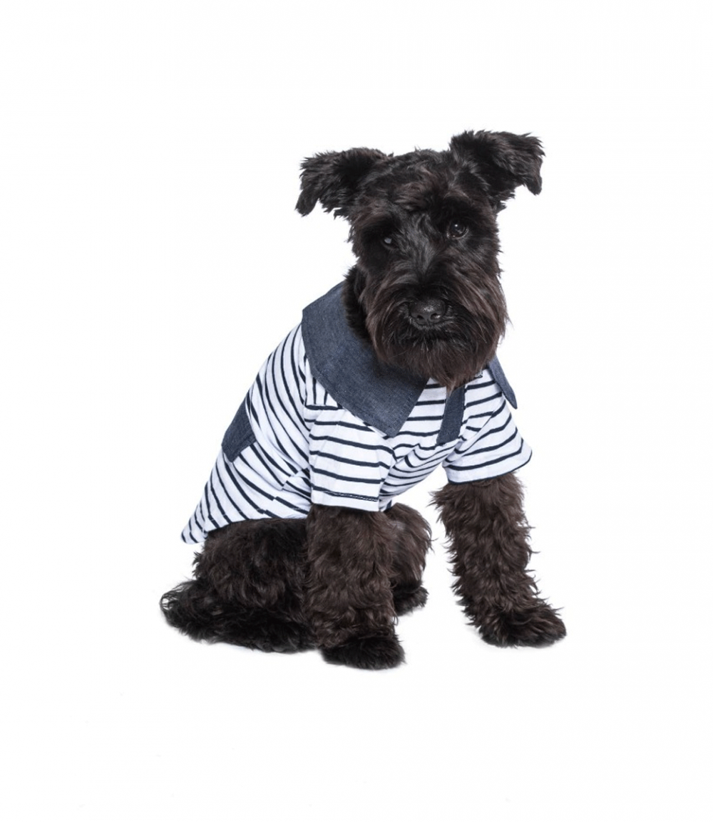 Preppy Boy Polo - Parisian Pet