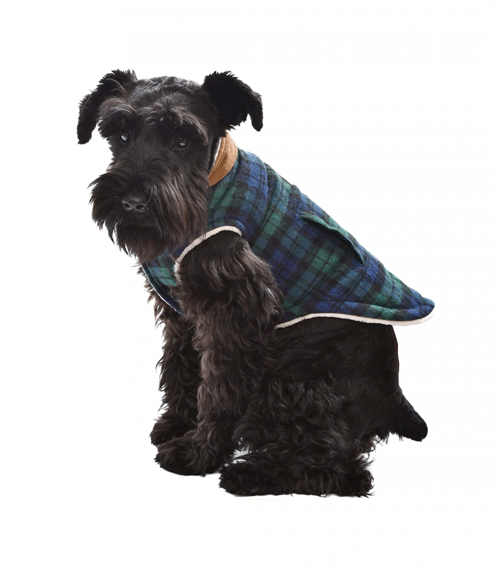 Scottish Jacket Green - Parisian Pet