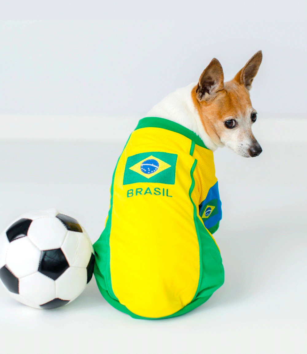 Team Brazil Jersey - Parisian Pet