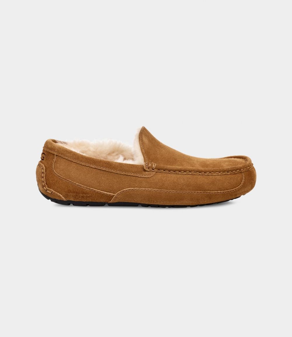 UGG MEN'S ASCOT SLIPPER 5775