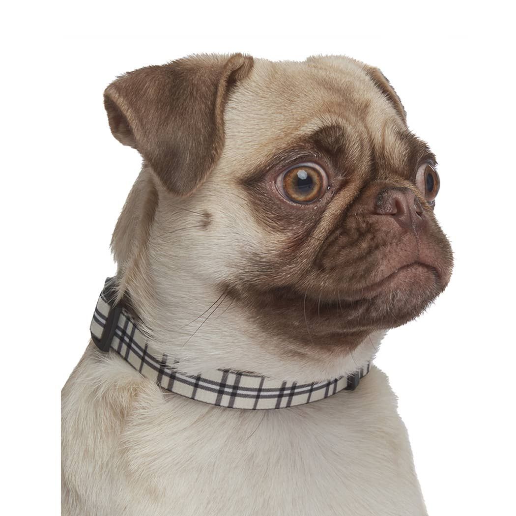 Scottish Plaid Collar, Khaki