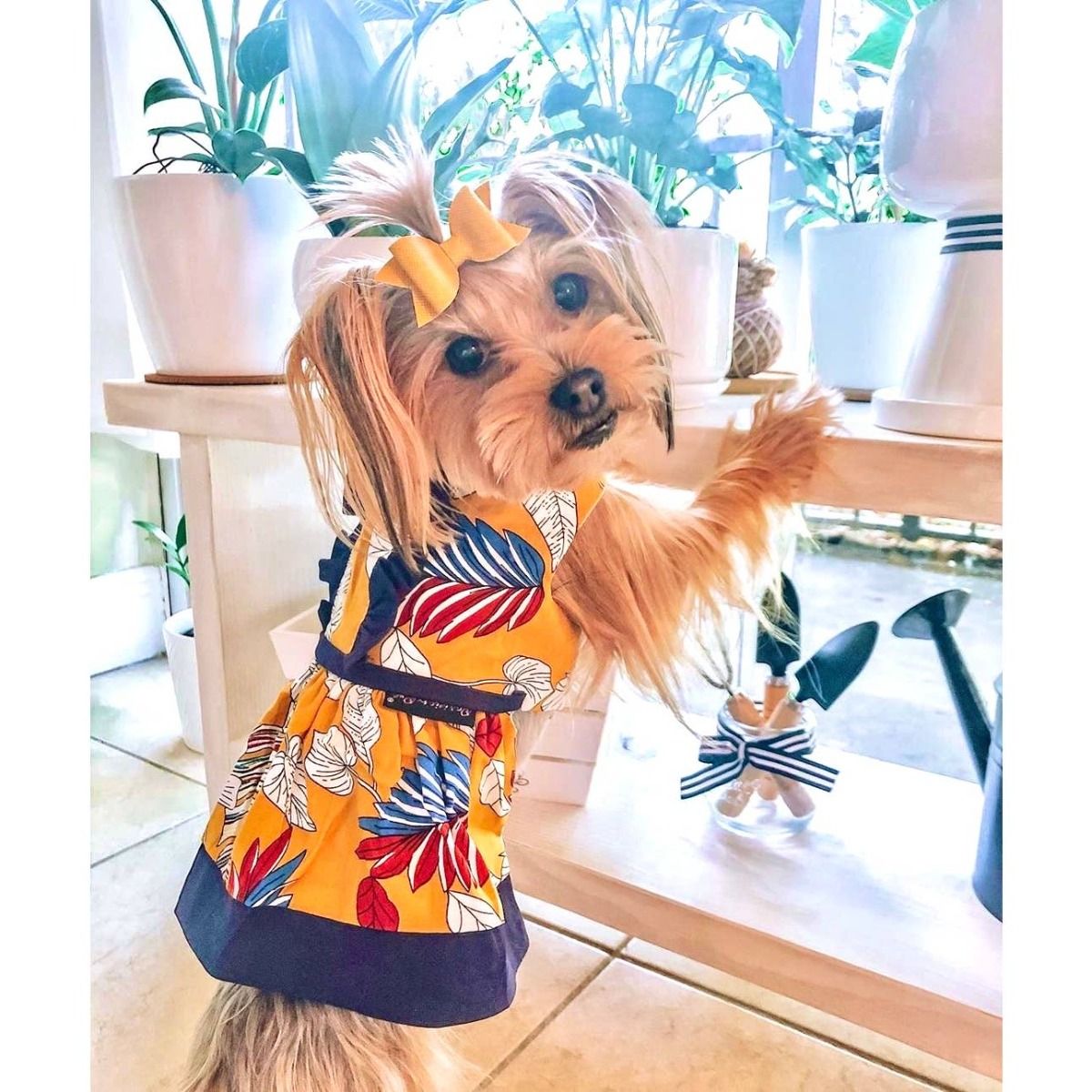 Tribal Leaves Dress - Parisian Pet