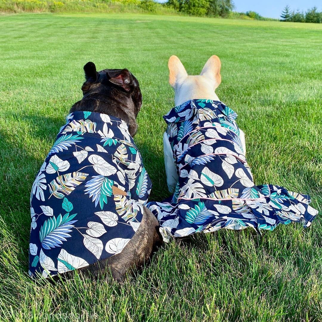 Palm Leaves Dress - Parisian Pet