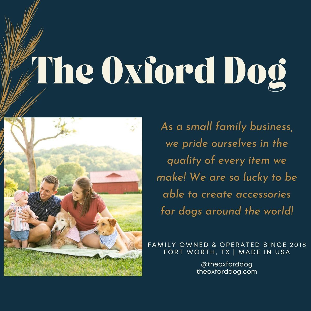Dog Bandana | Pet Accessories | Oxford Dog