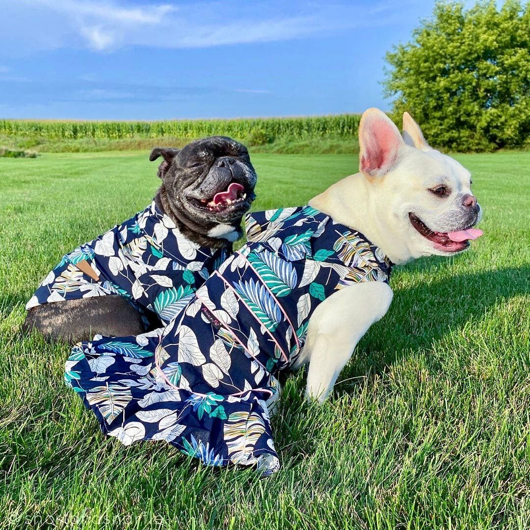 Palm Leaves Dress - Parisian Pet