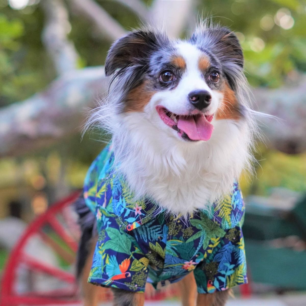 Amazonia Camp Shirt - Parisian Pet