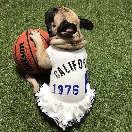 California kangkang OPS