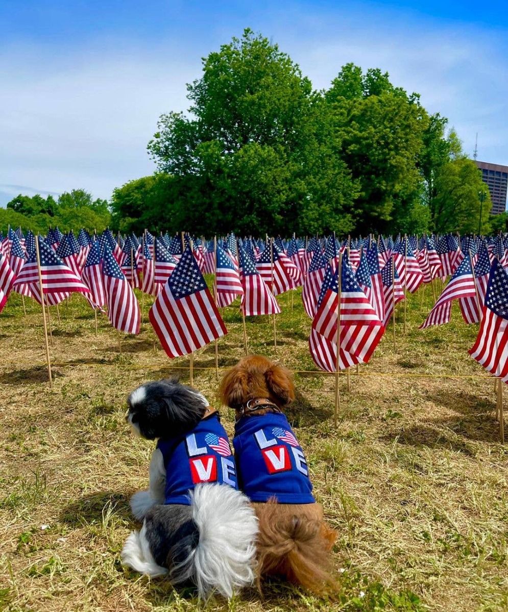 Love Usa - Parisian Pet