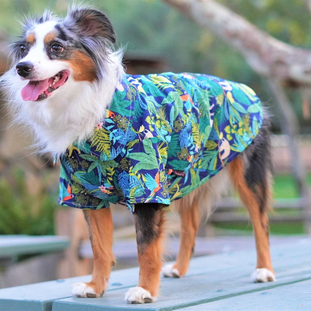 Amazonia Camp Shirt - Parisian Pet