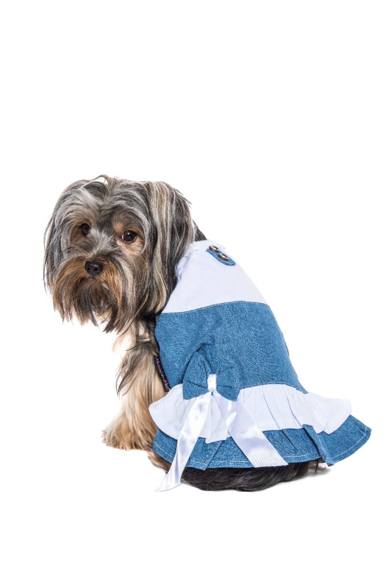 Denim Spring Dress - Parisian Pet
