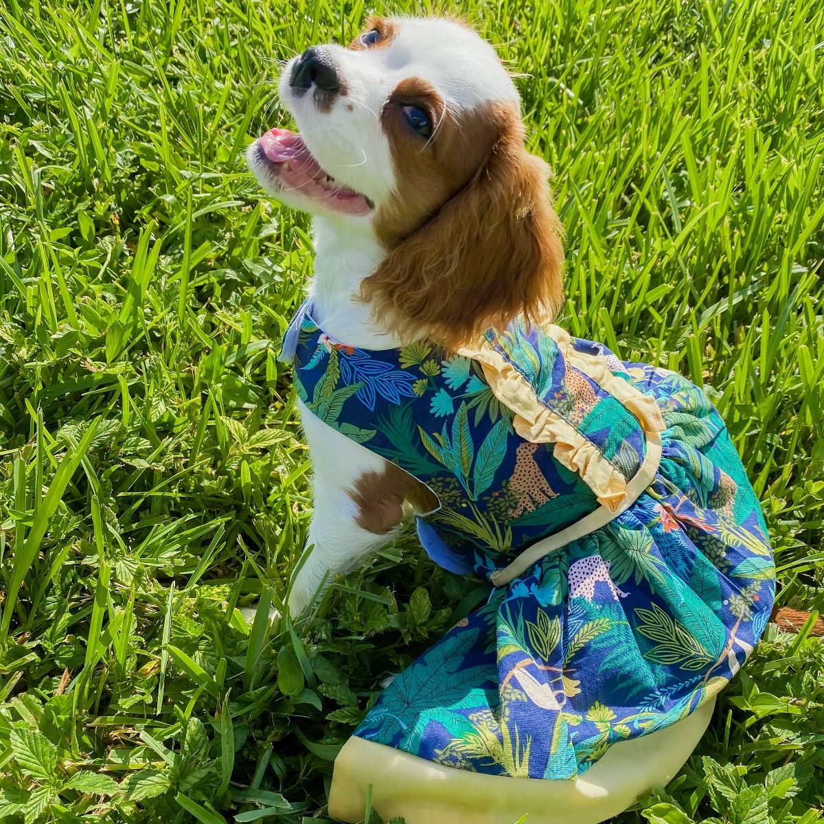 Amazonia Dress - Parisian Pet