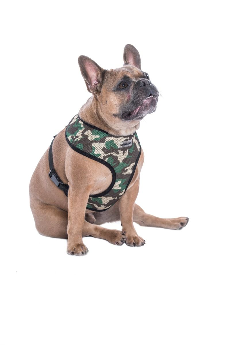 Freedom Harness - Parisian Pet