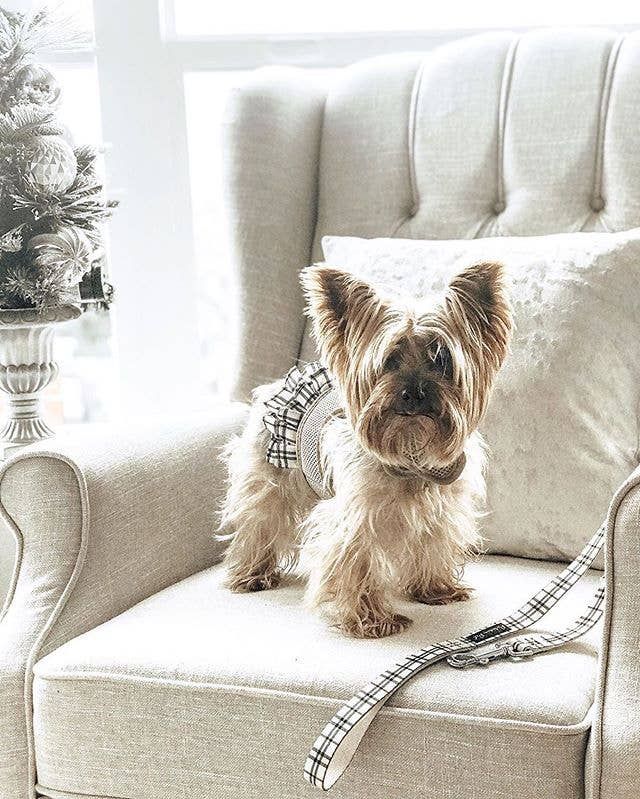 Harness Dress, Khaki Plaid - Parisian Pet