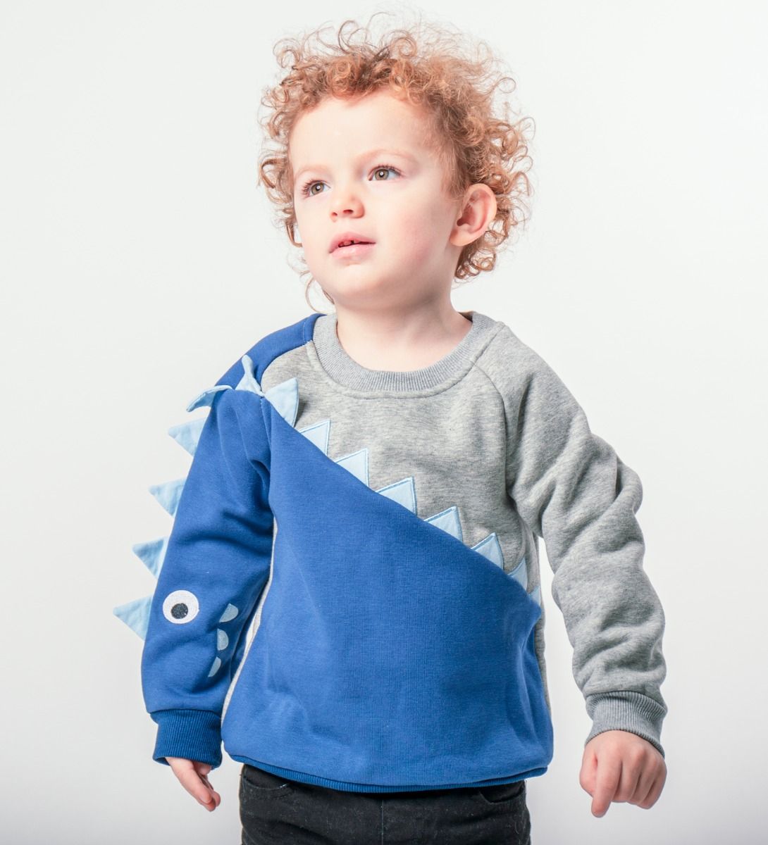 LEEZ Boys Blue-Gray Dinosaur Pattern Fleece Cotton Pullover