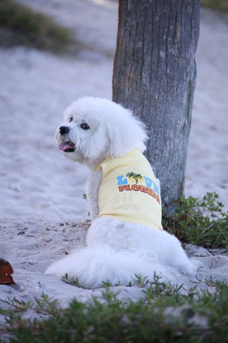 Love Florida Dog T-Shirt - Parisian Pet