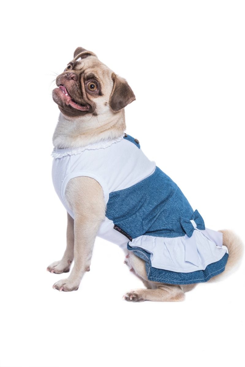 Denim Spring Dress - Parisian Pet