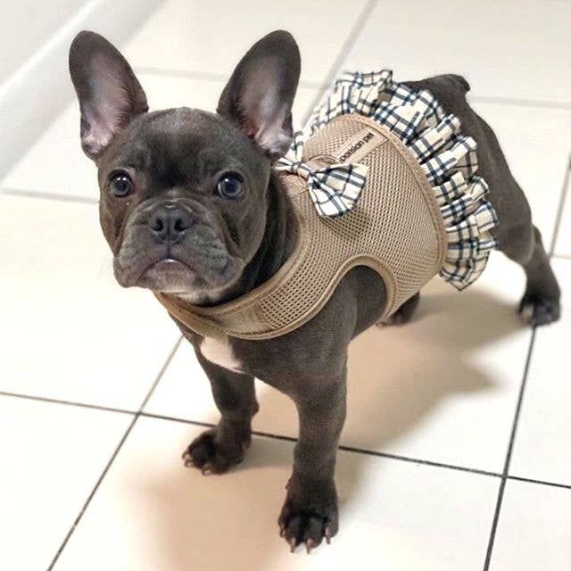 Harness Dress, Khaki Plaid - Parisian Pet