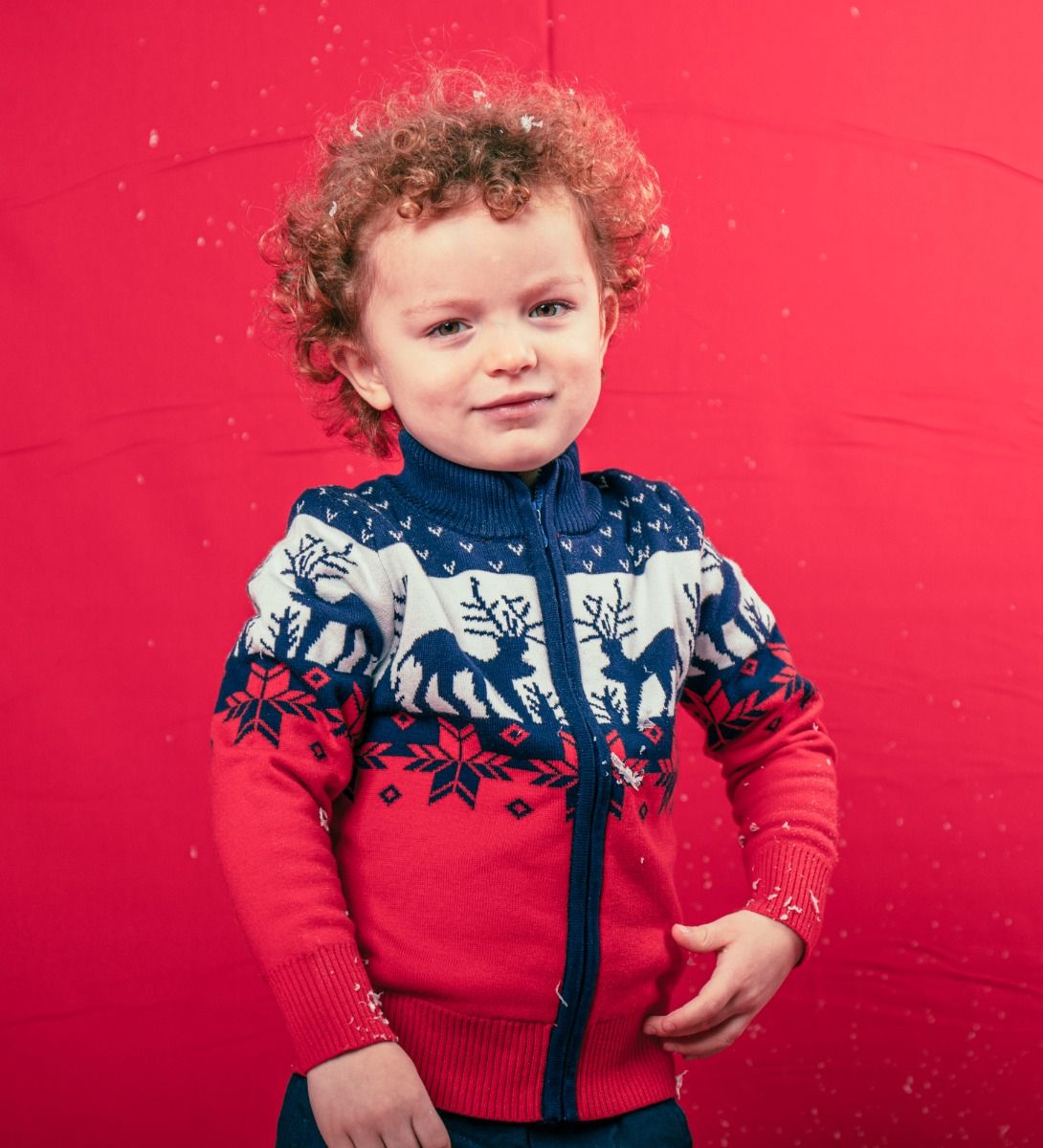 LEEZ Boys Multi-Color Zipper Cotton Sweater With Deer Patterns Navy/ Red