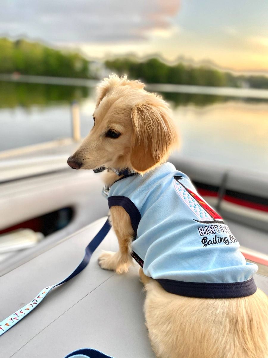 Sail Boat Dog T-Shirt - Parisian Pet