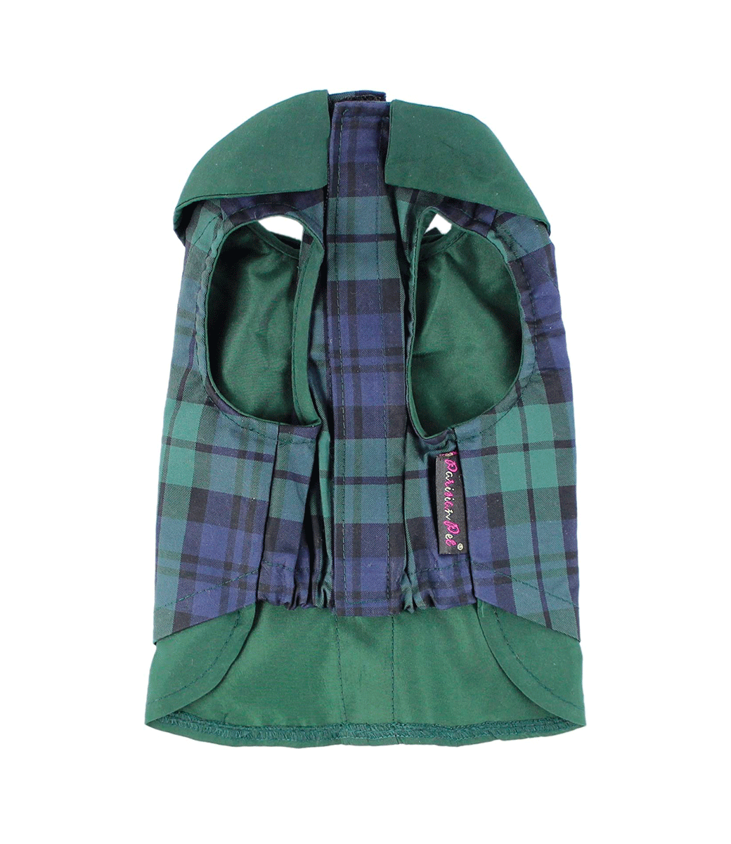 Scottish Green/Blue Tuxedo