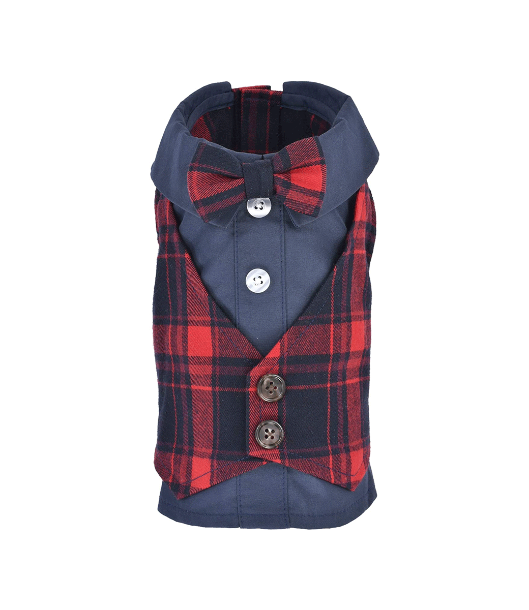Scottish Red/Blue Tuxedo - Parisian Pet
