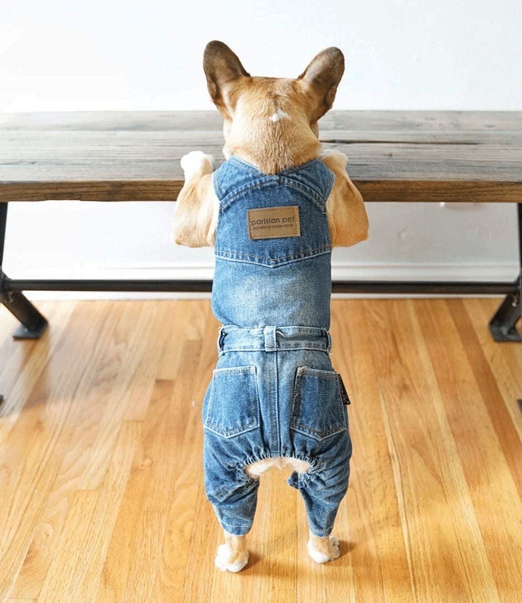  Parisian Pet Dog Clothes Cat Apparel Outfits Denim Overall