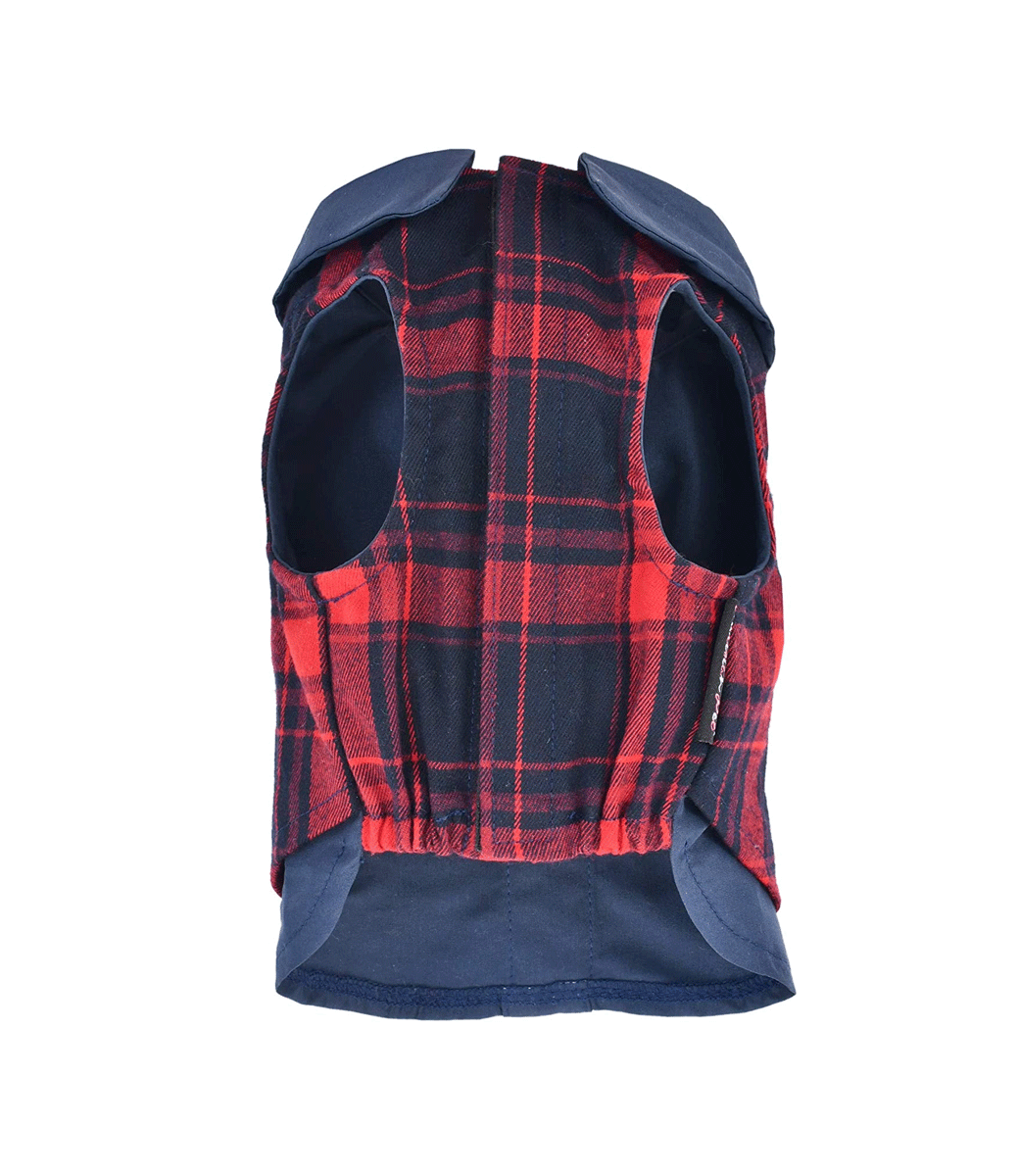 Scottish Red/Blue Tuxedo - Parisian Pet