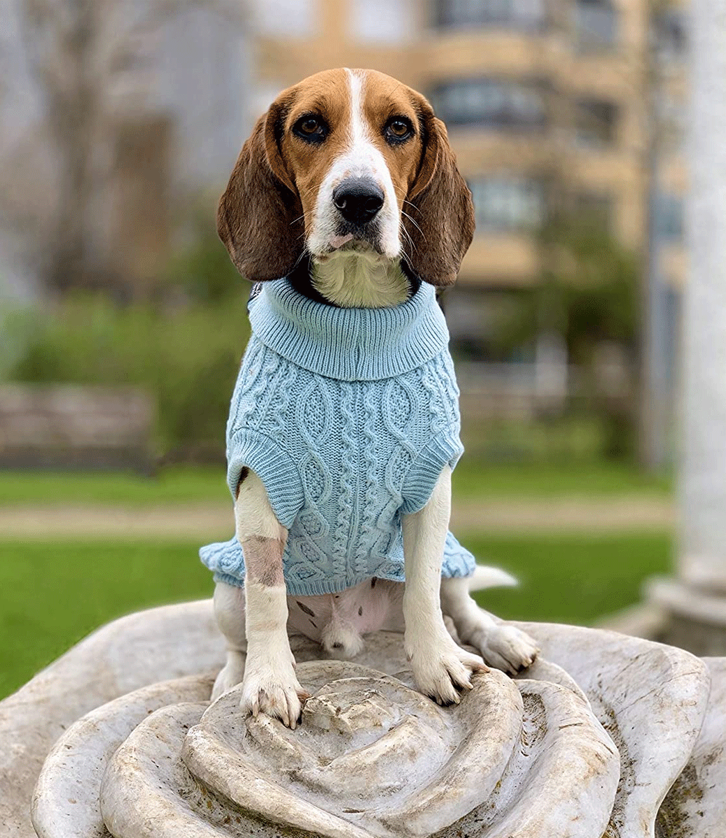 Parisian Pet - Turtleneck Sweater for Dogs