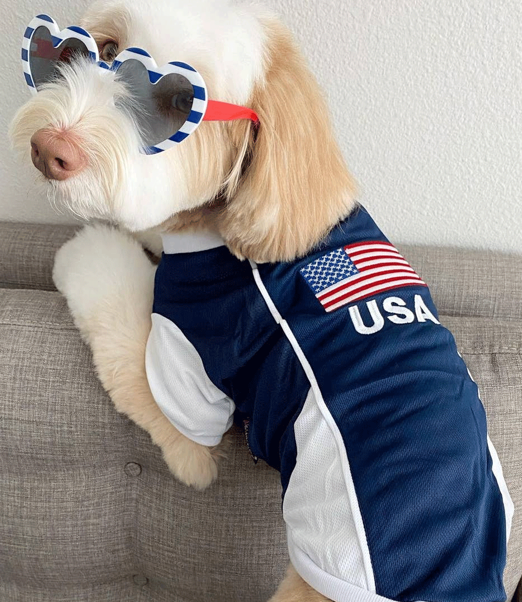 Team USA Jersey