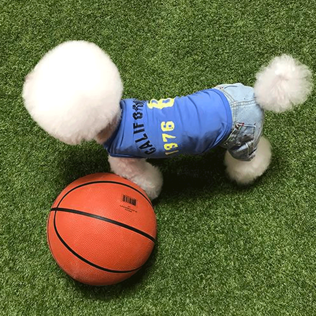 California Sleeveless shirt