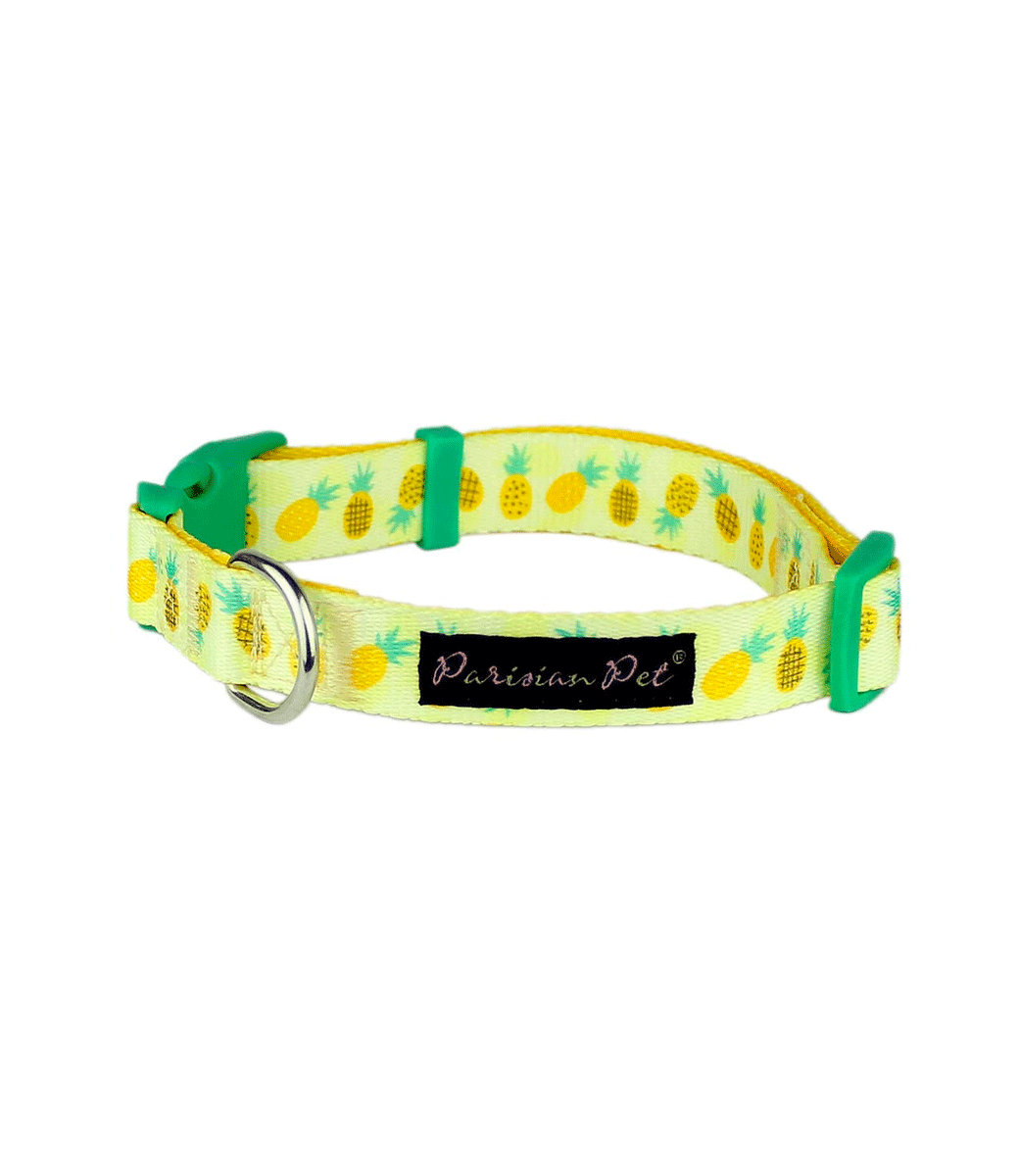 Adjustable Dog Collar - Parisian Pet