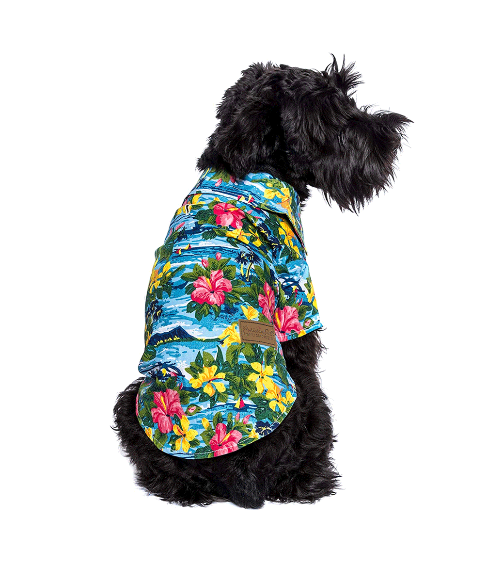 Hawaiian Camp - Parisian Pet