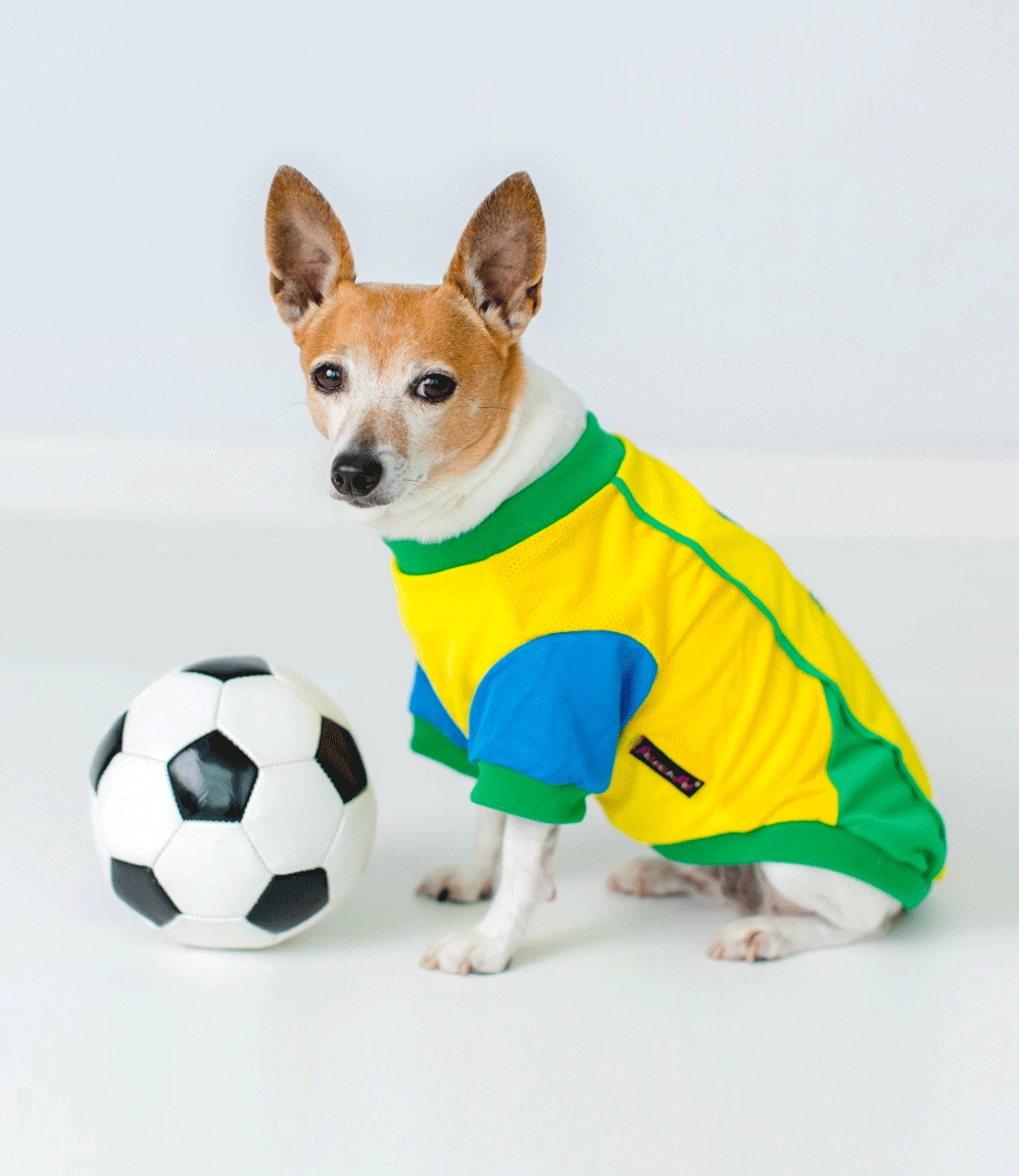 Team Brazil Jersey - Parisian Pet