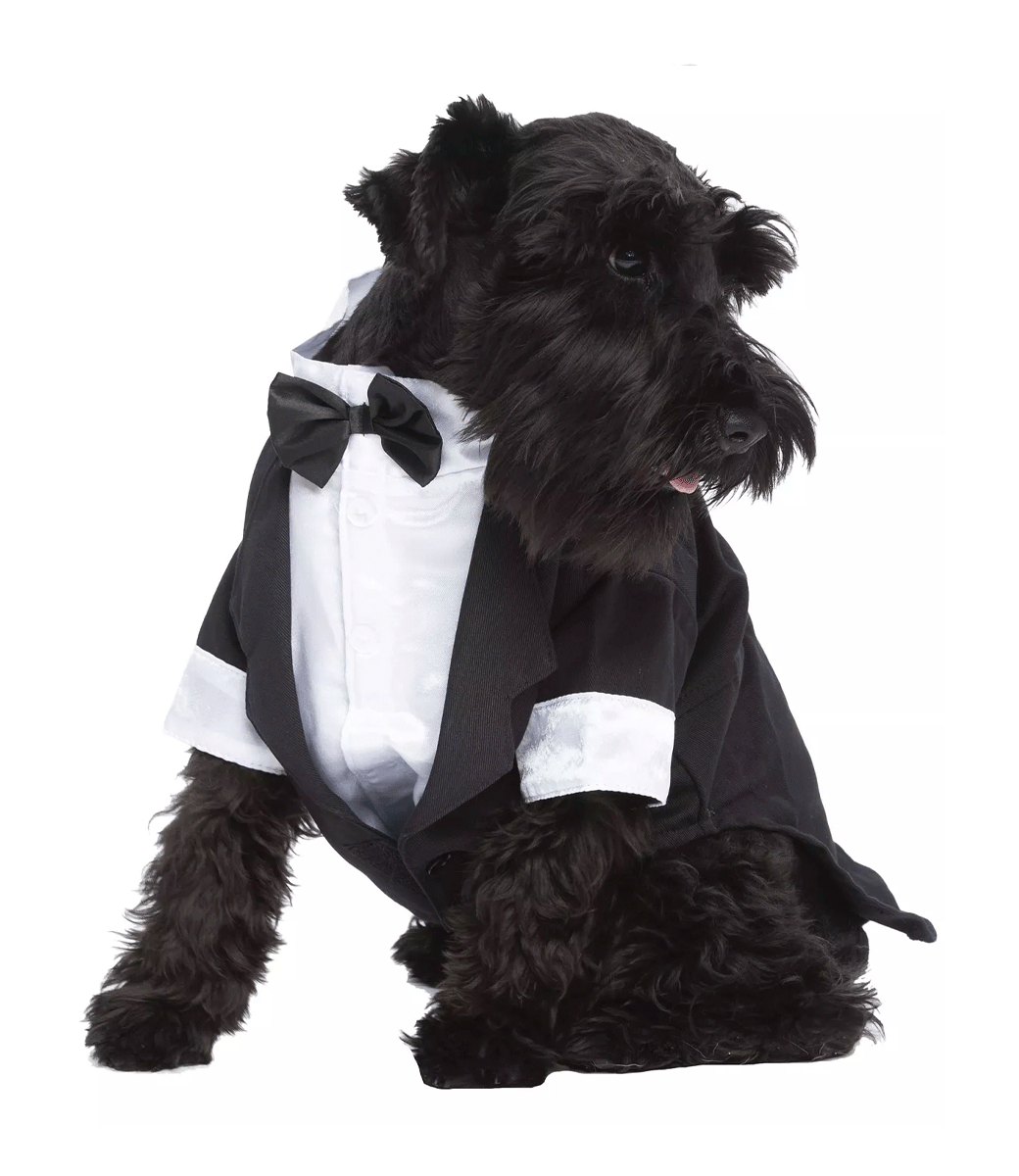 Party Tux - Parisian Pet