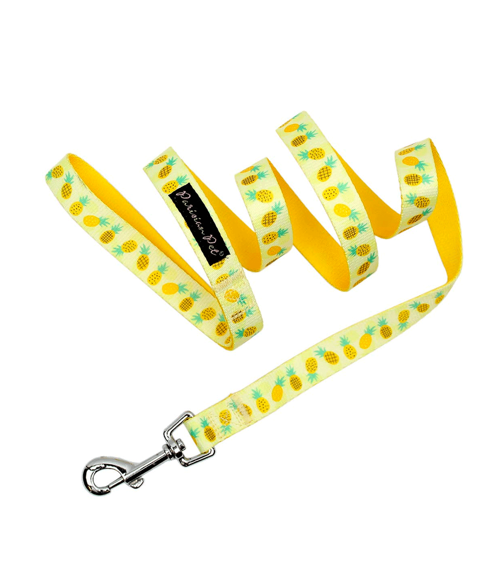 Adjustable Dog Collar - Parisian Pet