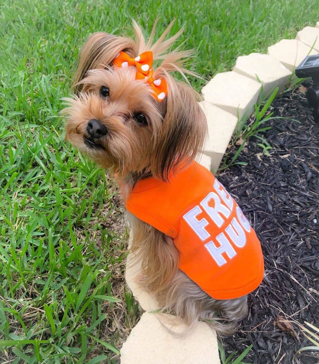 Free Hugs Dog T-Shirt - Parisian Pet