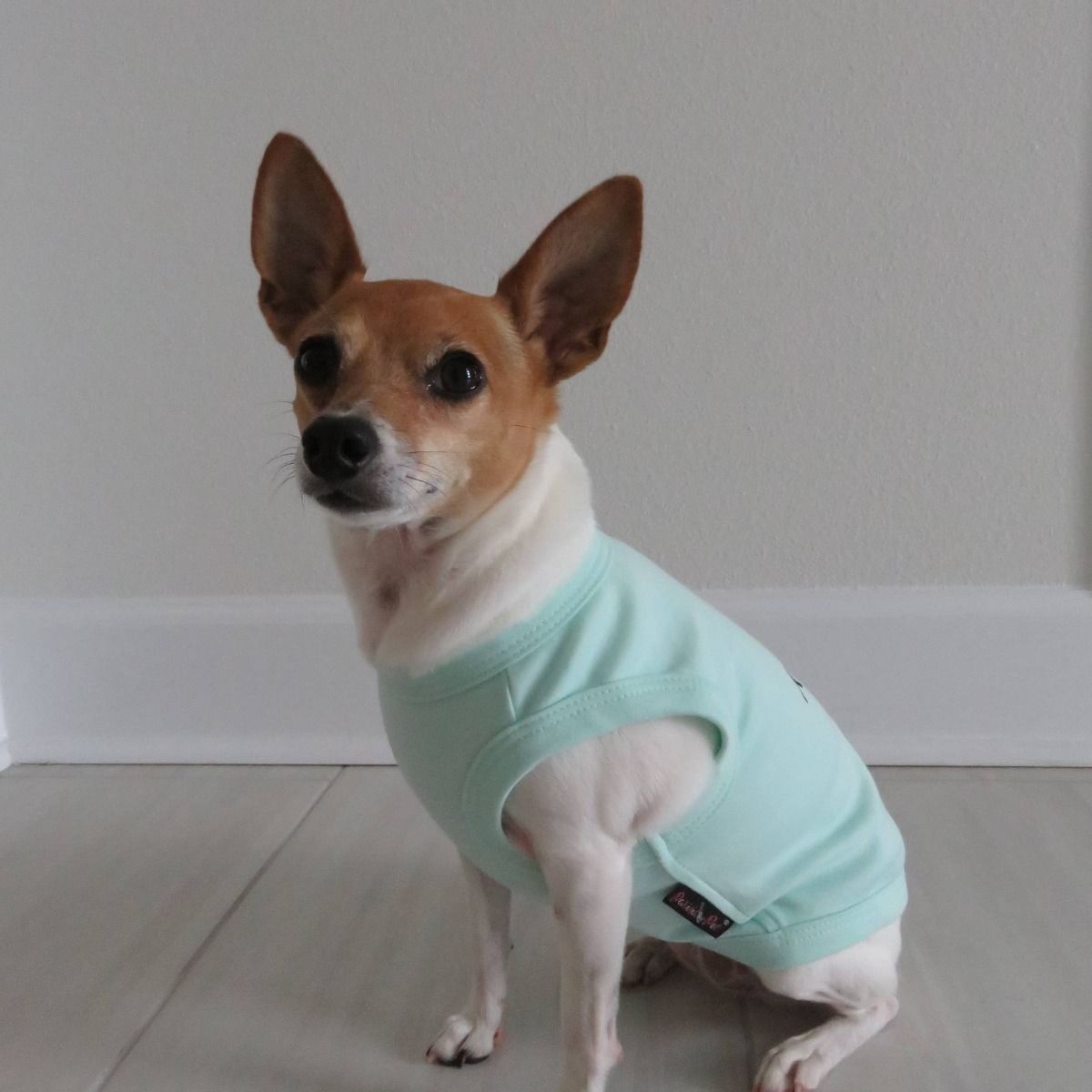 Birthday Boy Dog T-Shirt  - Parisian Pet