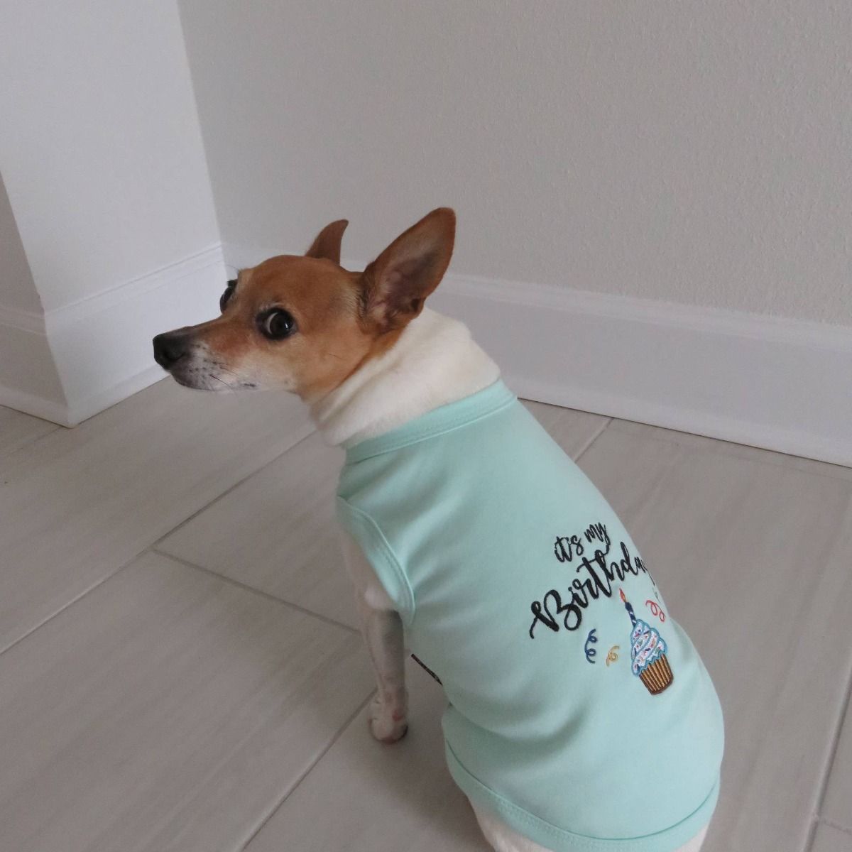 Birthday Boy Dog T-Shirt  - Parisian Pet