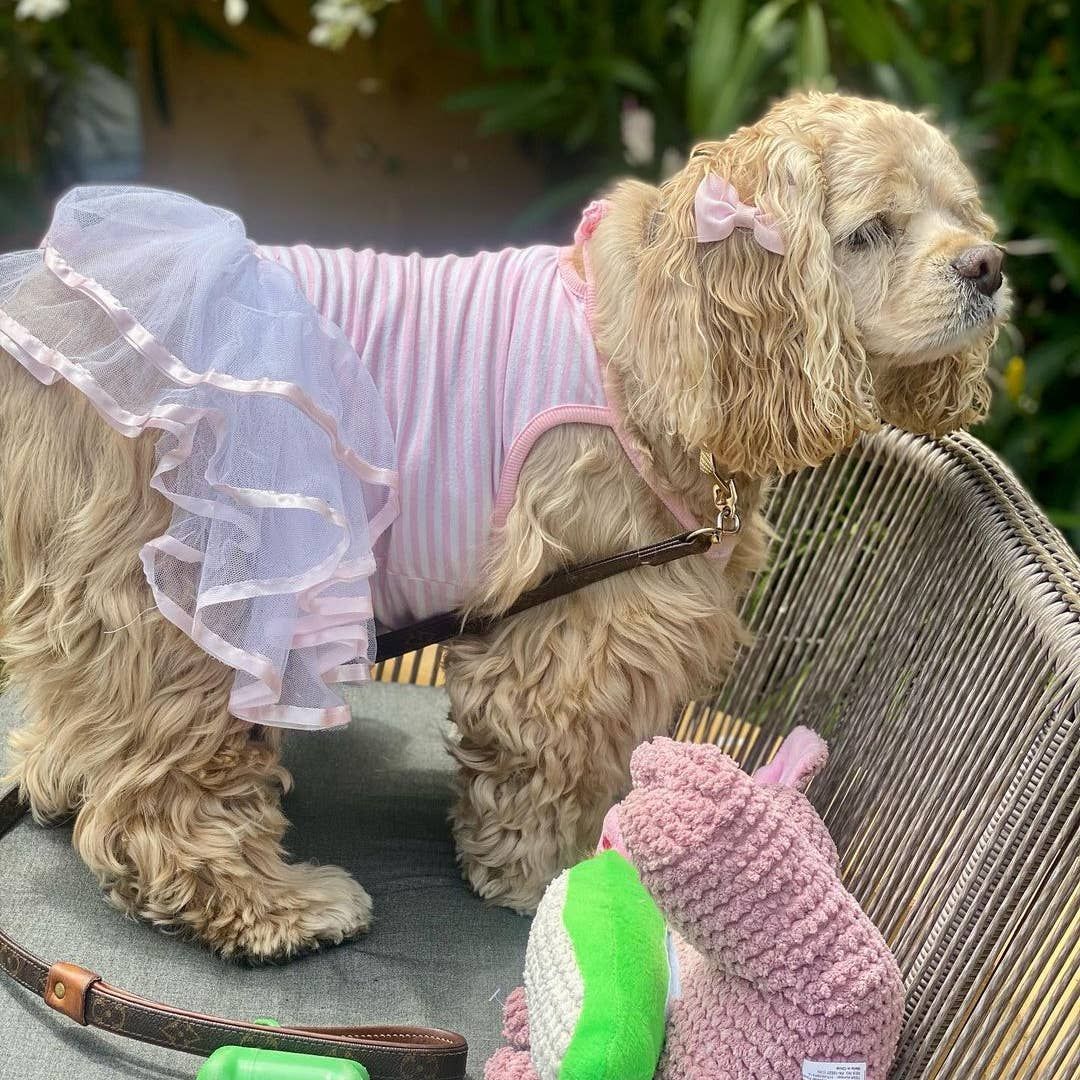 Ballerina Dress, Pink - Parisian Pet