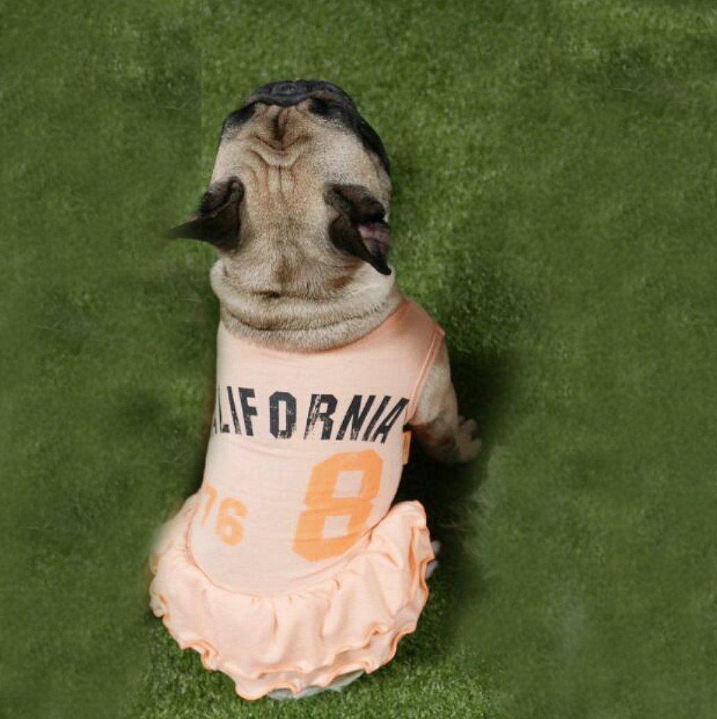 California kangkang OPS