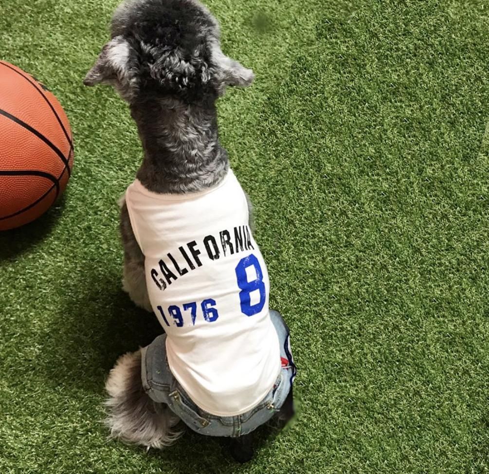 California Sleeveless shirt