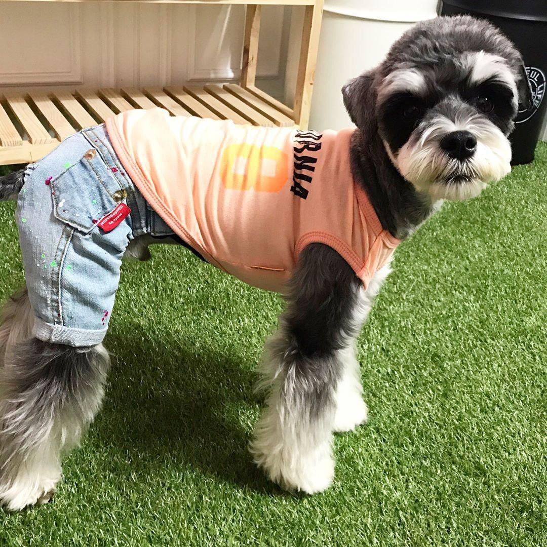 California Sleeveless shirt