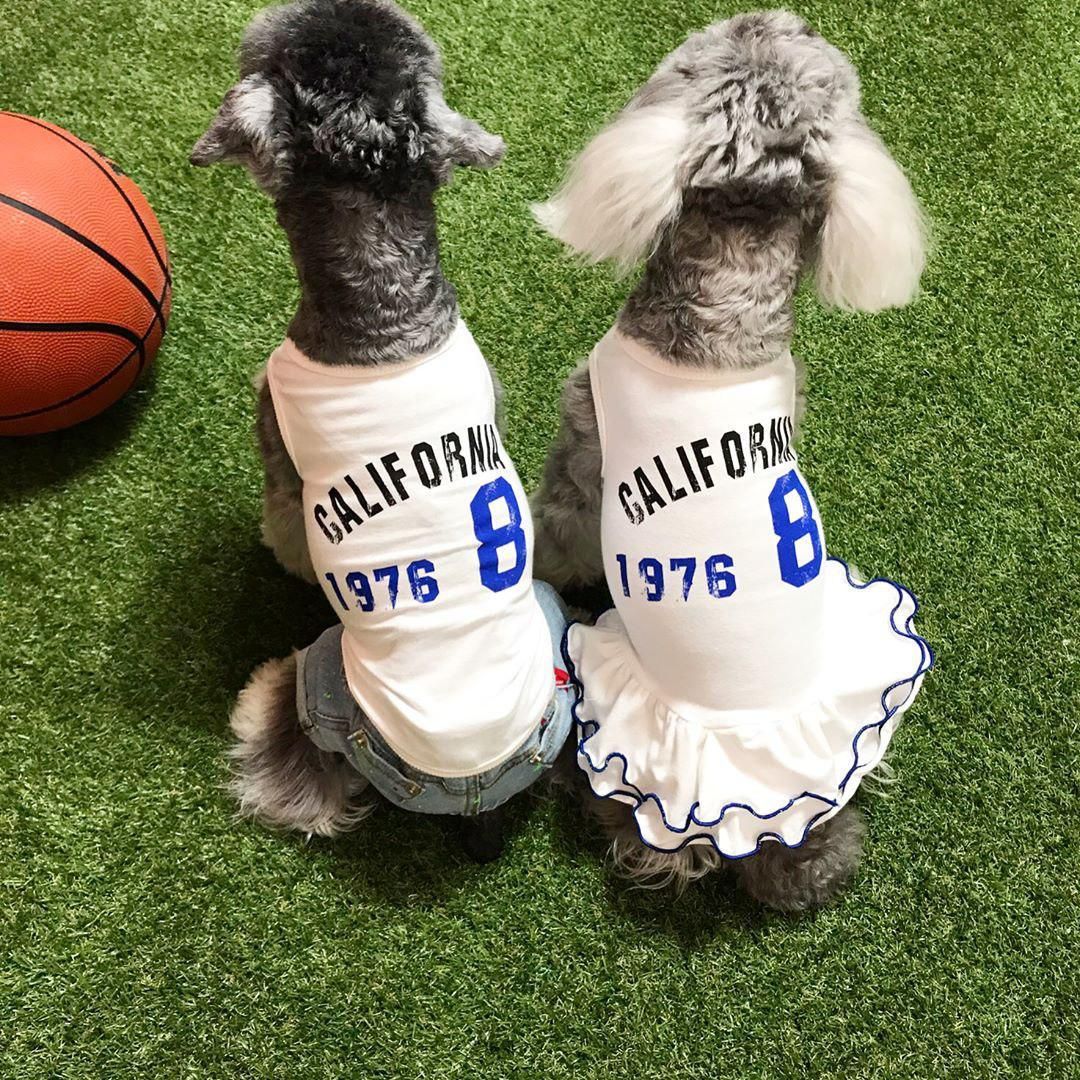 California kangkang OPS