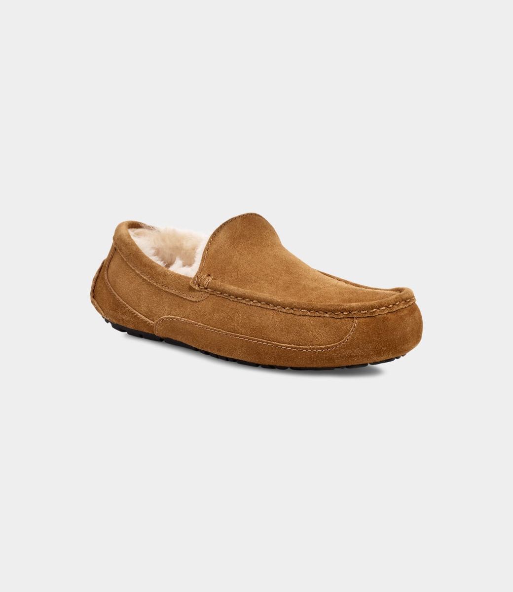 UGG MEN'S ASCOT SLIPPER 5775