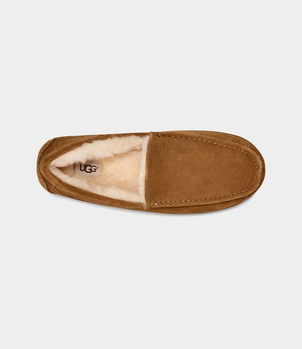 UGG MEN'S ASCOT SLIPPER 5775
